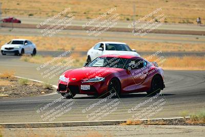 media/Sep-08-2024-VIP Trackdays (Sun) [[e20bd699b9]]/B Group/Session 2-Turns 4 and 6/